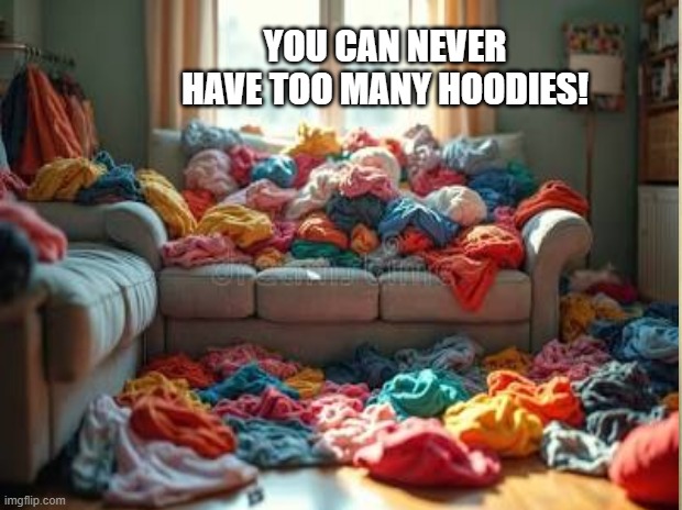 YOU CAN NEVER HAVE TOO MANY HOODIES! | made w/ Imgflip meme maker