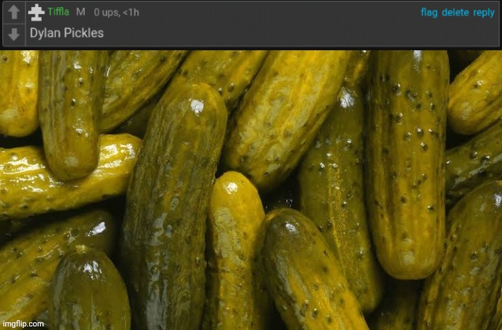 The Dylan Pickles | image tagged in dill pickles,dylan | made w/ Imgflip meme maker