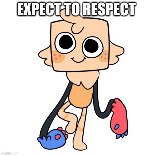 EXPECT TO RESPECT | made w/ Imgflip meme maker