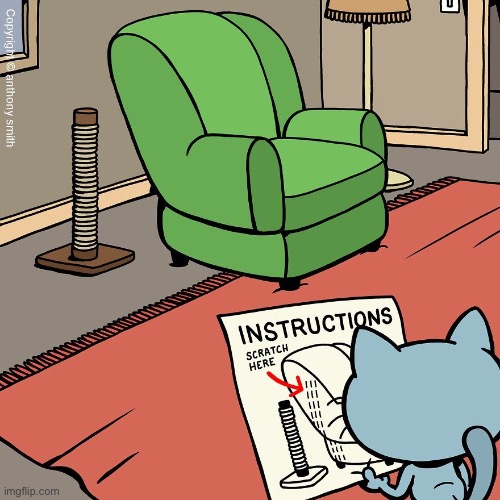 Cattitude | image tagged in cats,comics,cattitude,scratching post,chair | made w/ Imgflip meme maker