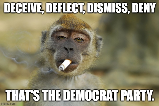 Smoking monkey | DECEIVE, DEFLECT, DISMISS, DENY THAT'S THE DEMOCRAT PARTY. | image tagged in smoking monkey | made w/ Imgflip meme maker