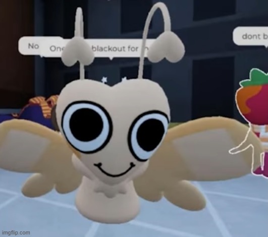 cursed flutter | image tagged in cursed flutter | made w/ Imgflip meme maker