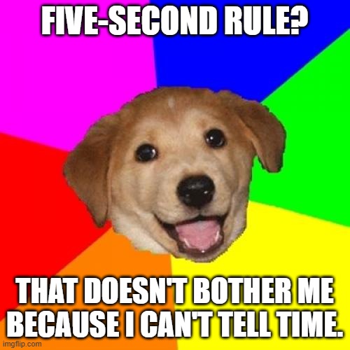 Advice Dog Meme | FIVE-SECOND RULE? THAT DOESN'T BOTHER ME BECAUSE I CAN'T TELL TIME. | image tagged in memes,advice dog | made w/ Imgflip meme maker