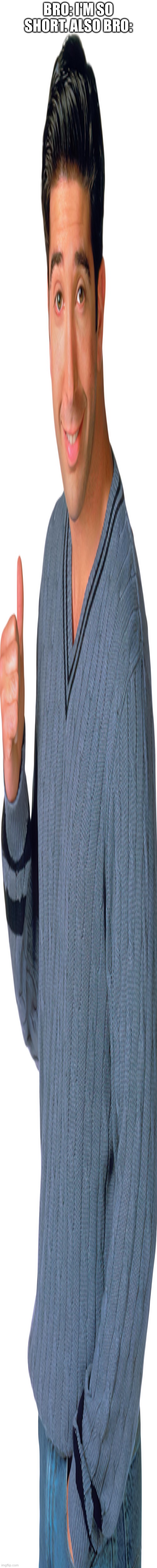 Blud gets stung by airplanes instead of bees | BRO: I'M SO SHORT. ALSO BRO: | image tagged in tall | made w/ Imgflip meme maker