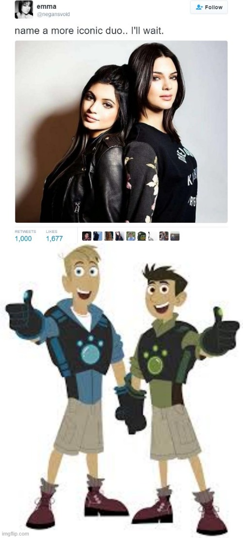 Are you making Wild Kratts memes? | image tagged in name a more iconic duo,memes,funny | made w/ Imgflip meme maker