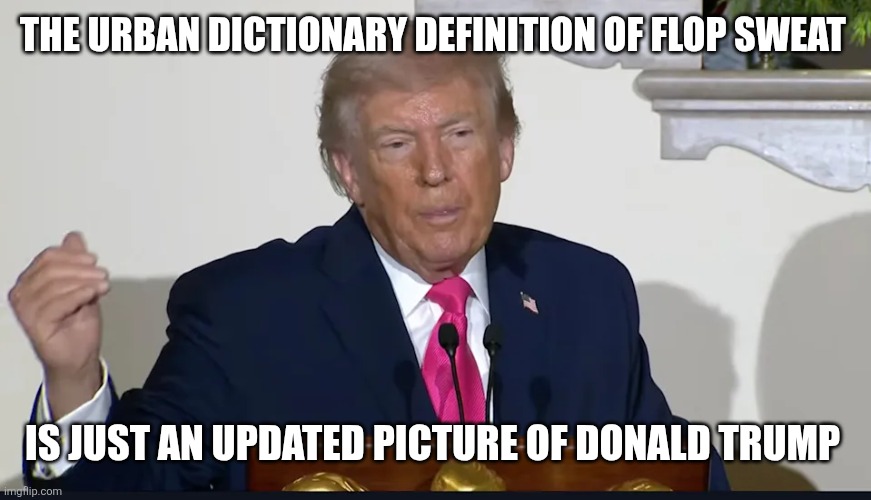 Urban DICKtionary donny | THE URBAN DICTIONARY DEFINITION OF FLOP SWEAT; IS JUST AN UPDATED PICTURE OF DONALD TRUMP | made w/ Imgflip meme maker
