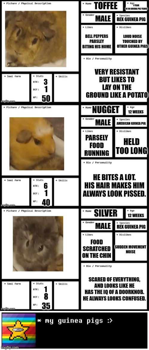 mmmmmm cute fish | image tagged in mems | made w/ Imgflip meme maker