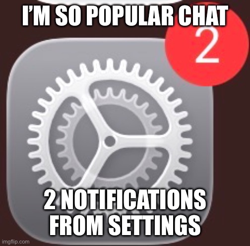 Lol | I’M SO POPULAR CHAT; 2 NOTIFICATIONS FROM SETTINGS | made w/ Imgflip meme maker