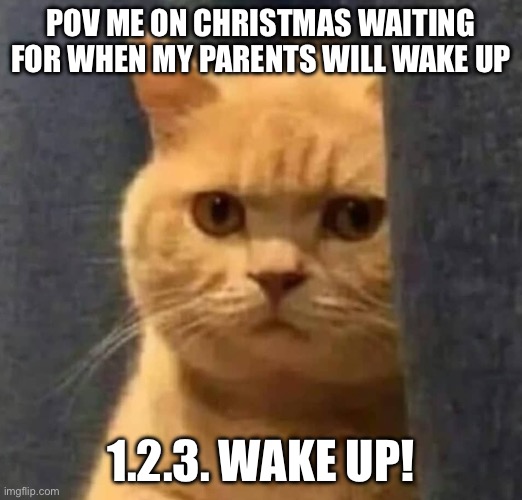 Xmass | POV ME ON CHRISTMAS WAITING FOR WHEN MY PARENTS WILL WAKE UP; 1.2.3. WAKE UP! | image tagged in de kuales gato | made w/ Imgflip meme maker