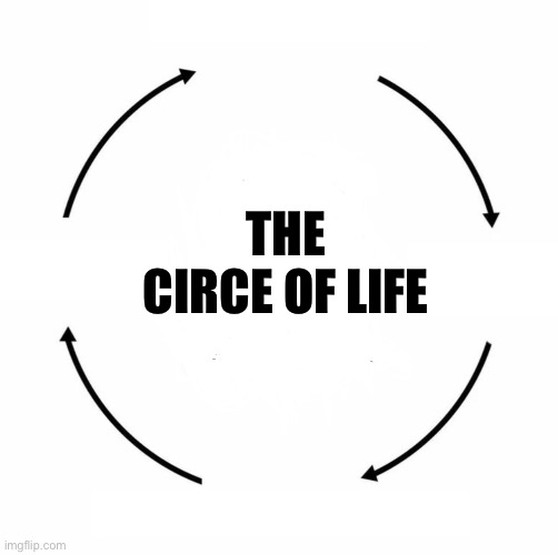 Circle of Life | THE CIRCE OF LIFE | image tagged in circle of life | made w/ Imgflip meme maker