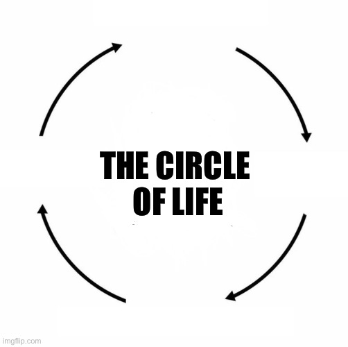 Circle of Life | THE CIRCLE 
OF LIFE | image tagged in circle of life | made w/ Imgflip meme maker