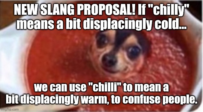 It is quite chilli during the day... | NEW SLANG PROPOSAL! If "chilly" means a bit displacingly cold... we can use "chilli" to mean a bit displacingly warm, to confuse people. | image tagged in chili dog,chilli,chili,slang,memes | made w/ Imgflip meme maker