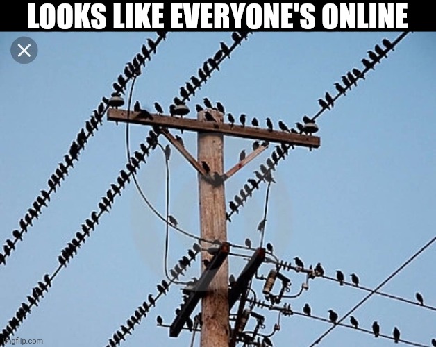 Looks Like Everyone's Online | LOOKS LIKE EVERYONE'S ONLINE | image tagged in chrisjoines1 | made w/ Imgflip meme maker