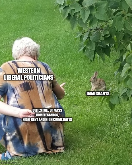 Liberal politicians aren't good people just because they are less unfriendly towards immigrants than conservatives | WESTERN LIBERAL POLITICIANS; IMMIGRANTS; CITIES FULL OF MASS HOMELESSNESS, HIGH-RENT AND HIGH CRIME RATES | image tagged in grandma hiding knife rabbit,liberals,hypocrites,corrupt,immigrants | made w/ Imgflip meme maker