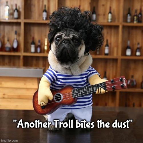 Ukelele Pug | "Another Troll bites the dust" | image tagged in ukelele pug | made w/ Imgflip meme maker