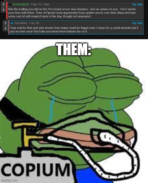 Ah yes, nothing apparently screams, Indian bot accounts as spreading the cold hearted truth. | THEM: | image tagged in copium,stupid people,anti zionist stupidity | made w/ Imgflip meme maker