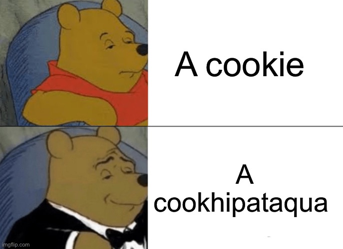 Making up words to win an argument | A cookie; A cookhipataqua | image tagged in memes,tuxedo winnie the pooh,cookies | made w/ Imgflip meme maker