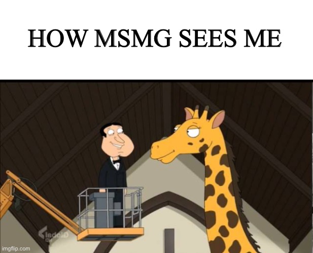 Apples to oranges | HOW MSMG SEES ME | image tagged in family guy,giraffe,quagmire,memes,cats | made w/ Imgflip meme maker