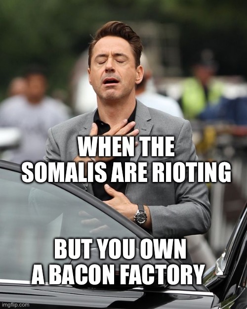 Protect yourself | WHEN THE SOMALIS ARE RIOTING; BUT YOU OWN A BACON FACTORY | image tagged in robert downey jr,bacon,muslims | made w/ Imgflip meme maker