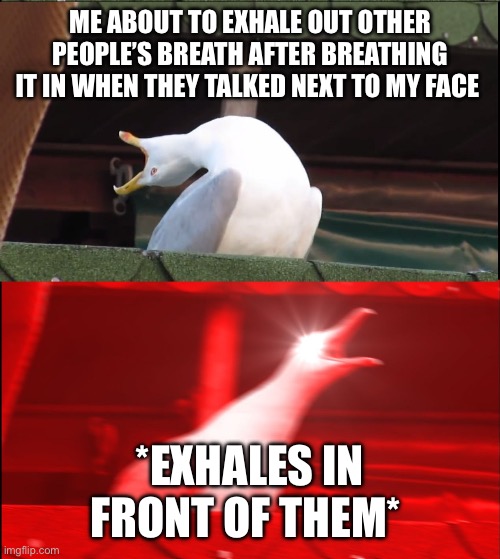 Screaming goose | ME ABOUT TO EXHALE OUT OTHER PEOPLE’S BREATH AFTER BREATHING IT IN WHEN THEY TALKED NEXT TO MY FACE; *EXHALES IN FRONT OF THEM* | image tagged in screaming goose,breathe,memes | made w/ Imgflip meme maker