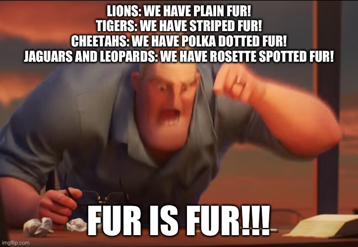 Fur of big cats | LIONS: WE HAVE PLAIN FUR!
TIGERS: WE HAVE STRIPED FUR!
CHEETAHS: WE HAVE POLKA DOTTED FUR!
JAGUARS AND LEOPARDS: WE HAVE ROSETTE SPOTTED FUR! FUR IS FUR!!! | image tagged in math is math | made w/ Imgflip meme maker