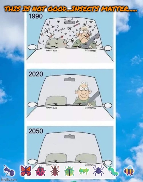 when was the last time you cleaned bugs off your windshield? | THIS IS NOT GOOD...INSECTS MATTER...... 🐜 🦋🐞🪳🪲🦗🕷️🐛 🐝 | image tagged in nature,insects,plants,healthy,food chain | made w/ Imgflip meme maker