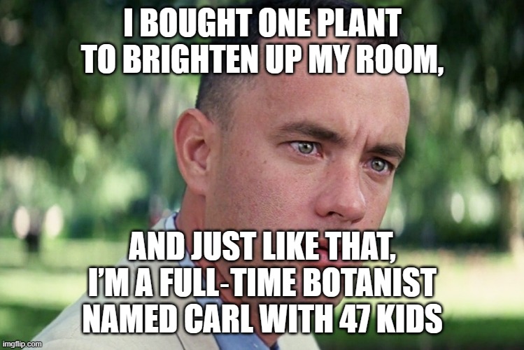 AND JUST LIKE THAT, I’M A FULL‑TIME BOTANIST NAMED CARL WITH 47 KIDS | I BOUGHT ONE PLANT TO BRIGHTEN UP MY ROOM, AND JUST LIKE THAT, I’M A FULL‑TIME BOTANIST NAMED CARL WITH 47 KIDS | image tagged in memes,and just like that,plants,kids,kids these days,carl | made w/ Imgflip meme maker
