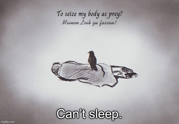 Die Krähe | Can’t sleep. | image tagged in die kr he | made w/ Imgflip meme maker