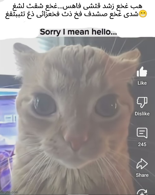 ____..sorry..I mean hello | هب غخع زشد قثشی فاهس...غخع شقث لشغ شدی غخع صشدف فخ ذث فخعزاثی ذغ تثببثقغ😁 | image tagged in ____ sorry i mean hello | made w/ Imgflip meme maker