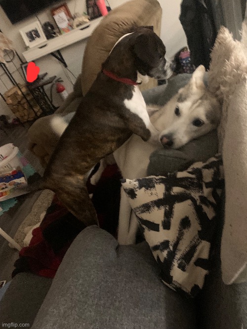 Yuri | made w/ Imgflip meme maker