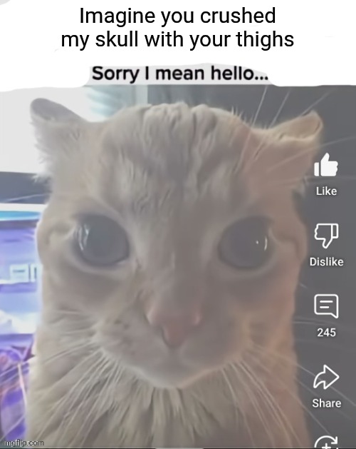 ____..sorry..I mean hello | Imagine you crushed my skull with your thighs | image tagged in ____ sorry i mean hello | made w/ Imgflip meme maker