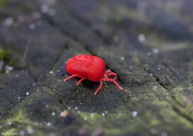 This is hecate | made w/ Imgflip meme maker