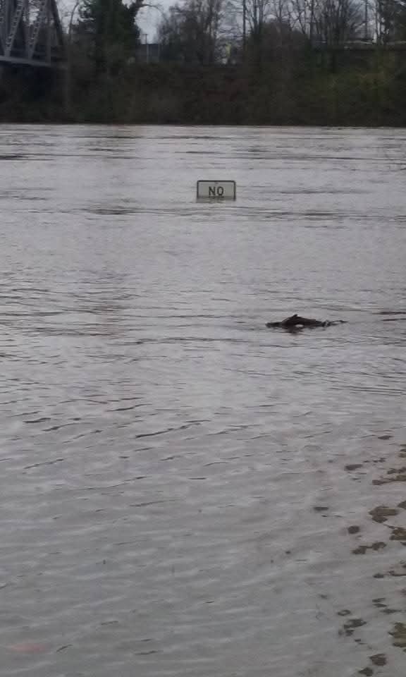 Climate change no Blank Meme Template