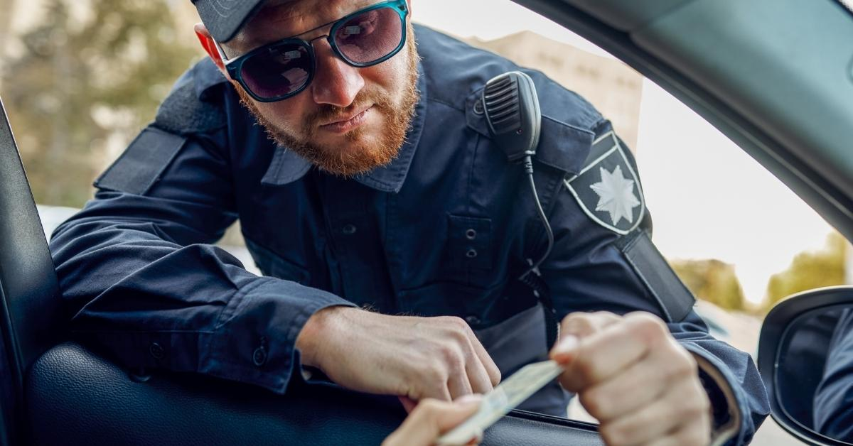 pig Blank Meme Template