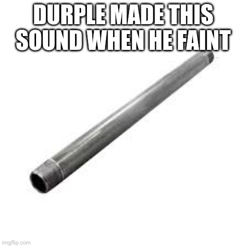 Metal pipe | DURPLE MADE THIS SOUND WHEN HE FAINT | image tagged in metal pipe | made w/ Imgflip meme maker