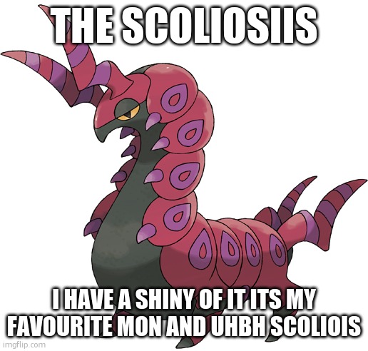 the scoliosis | THE SCOLIOSIIS; I HAVE A SHINY OF IT ITS MY FAVOURITE MON AND UHBH SCOLIOIS | image tagged in scolipede | made w/ Imgflip meme maker