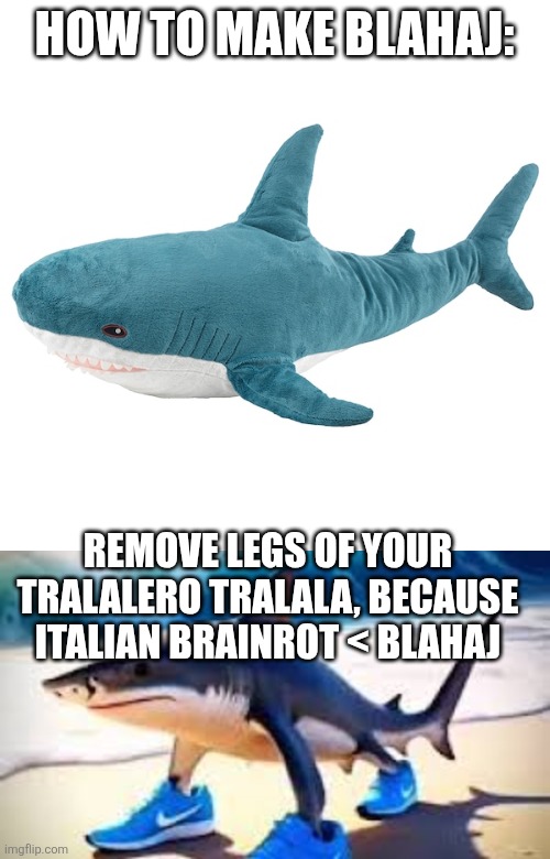 HOW TO MAKE BLAHAJ:; REMOVE LEGS OF YOUR TRALALERO TRALALA, BECAUSE ITALIAN BRAINROT < BLAHAJ | image tagged in bl haj,tralalero tralala | made w/ Imgflip meme maker