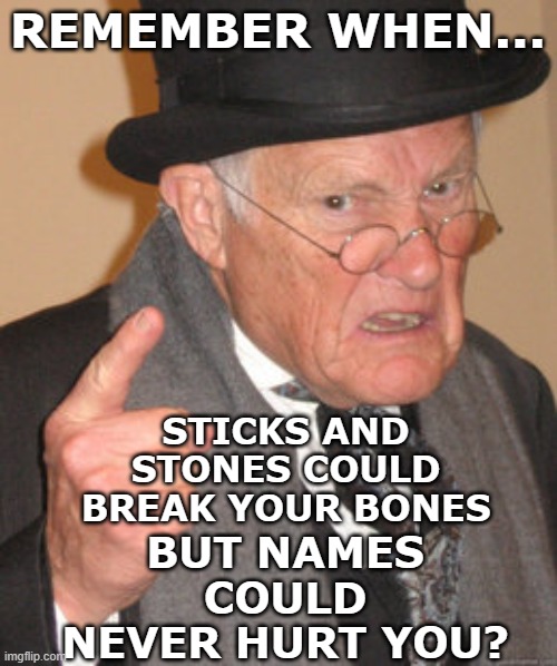 REMEMBER WHEN... STICKS AND STONES COULD BREAK YOUR BONES BUT NAMES COULD NEVER HURT YOU? | image tagged in memes,back in my day | made w/ Imgflip meme maker