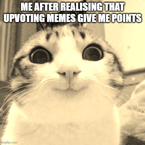 Smiling Cat Meme | ME AFTER REALISING THAT UPVOTING MEMES GIVE ME POINTS | image tagged in memes,smiling cat | made w/ Imgflip meme maker