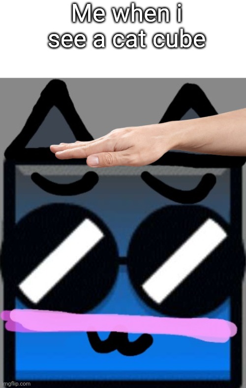 This is so stupid i love it | Me when i see a cat cube | image tagged in meow 3 | made w/ Imgflip meme maker