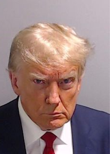 felon-in-chief Blank Meme Template