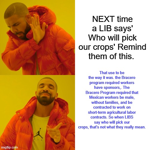 Theylieingtoyouagain.... BRACERO PROGRAM | NEXT time a LIB says' Who will pick our crops' Remind them of this. That use to be the way it was. the Bracero program required workers have sponsors,. The Bracero Program required that Mexican workers be male, without families, and be contracted to work on short-term agricultural labor contracts. So when LIBS say who will pick our crops, that's not what they really mean. | image tagged in memes,drake hotline bling | made w/ Imgflip meme maker