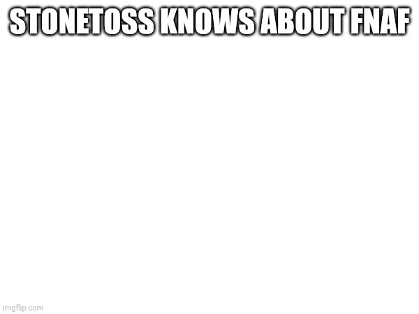 STONETOSS KNOWS ABOUT FNAF | made w/ Imgflip meme maker