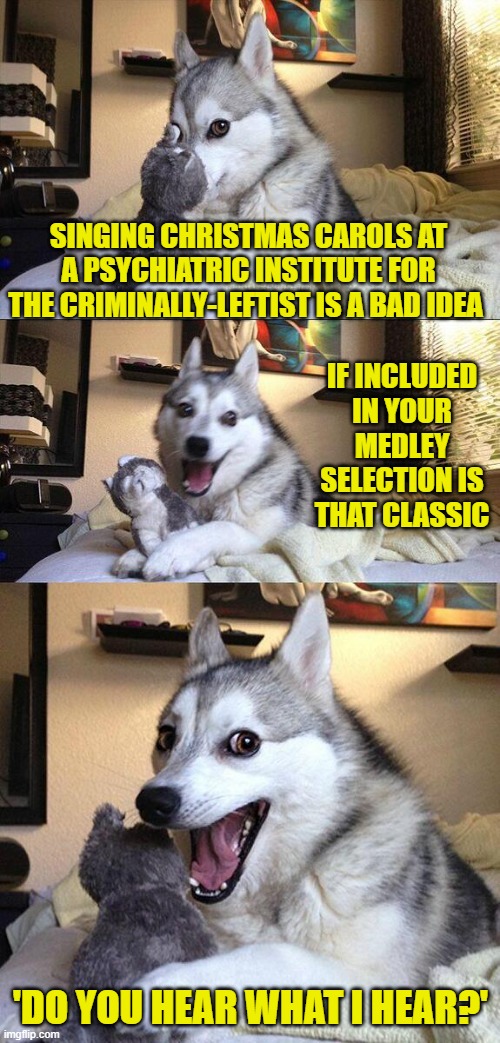 Ho!  Ho!  Ho!.  Sit down Kamala; no one is calling you. | SINGING CHRISTMAS CAROLS AT A PSYCHIATRIC INSTITUTE FOR THE CRIMINALLY-LEFTIST IS A BAD IDEA; IF INCLUDED IN YOUR MEDLEY SELECTION IS THAT CLASSIC; 'DO YOU HEAR WHAT I HEAR?' | image tagged in bad pun dog | made w/ Imgflip meme maker