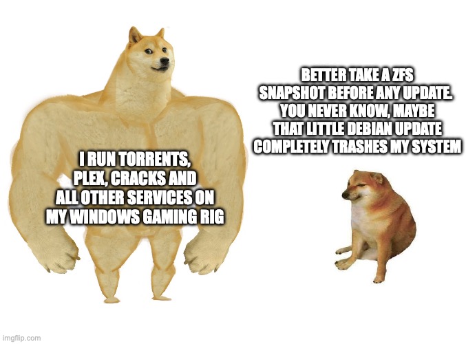 Big dog small dog | BETTER TAKE A ZFS SNAPSHOT BEFORE ANY UPDATE. 
YOU NEVER KNOW, MAYBE THAT LITTLE DEBIAN UPDATE COMPLETELY TRASHES MY SYSTEM; I RUN TORRENTS, PLEX, CRACKS AND ALL OTHER SERVICES ON MY WINDOWS GAMING RIG | image tagged in big dog small dog | made w/ Imgflip meme maker