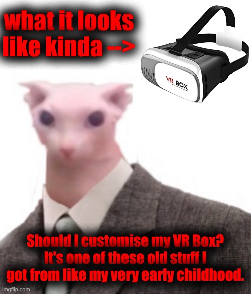 Yknow these Youtube 360 videos? It's meant for that kind of stuff. | what it looks like kinda -->; Should I customise my VR Box? It's one of these old stuff I got from like my very early childhood. | image tagged in bingus | made w/ Imgflip meme maker