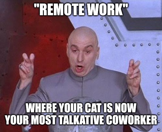 Remote Work | "REMOTE WORK"; WHERE YOUR CAT IS NOW YOUR MOST TALKATIVE COWORKER | image tagged in funny,evil,work,memes,fun | made w/ Imgflip meme maker