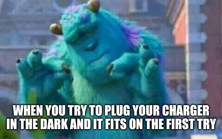 Nice... | WHEN YOU TRY TO PLUG YOUR CHARGER IN THE DARK AND IT FITS ON THE FIRST TRY | image tagged in sully shutdown,funny,memes,fun | made w/ Imgflip meme maker