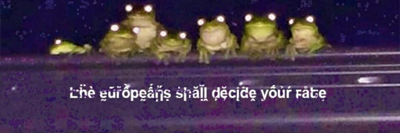 The Europeans shall decide your fate Blank Meme Template