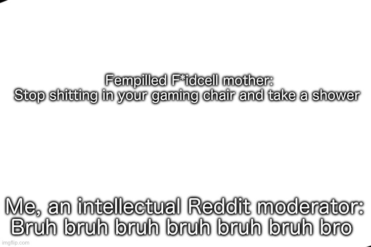 Boiiiii ts f*id is not a man of culture like me | Fempilled F*idcell mother:
Stop shitting in your gaming chair and take a shower; Me, an intellectual Reddit moderator:
Bruh bruh bruh bruh bruh bruh bro | image tagged in memes,reddit,mother | made w/ Imgflip meme maker